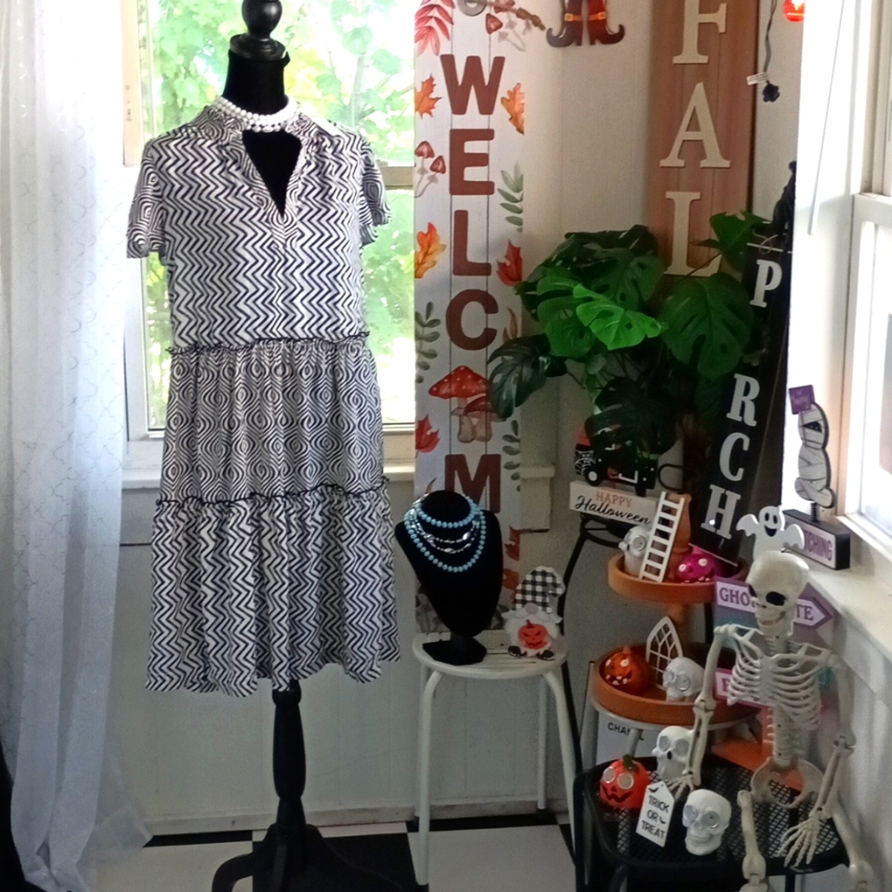 1️⃣3️⃣3️⃣ Anthropologie Dress 👗